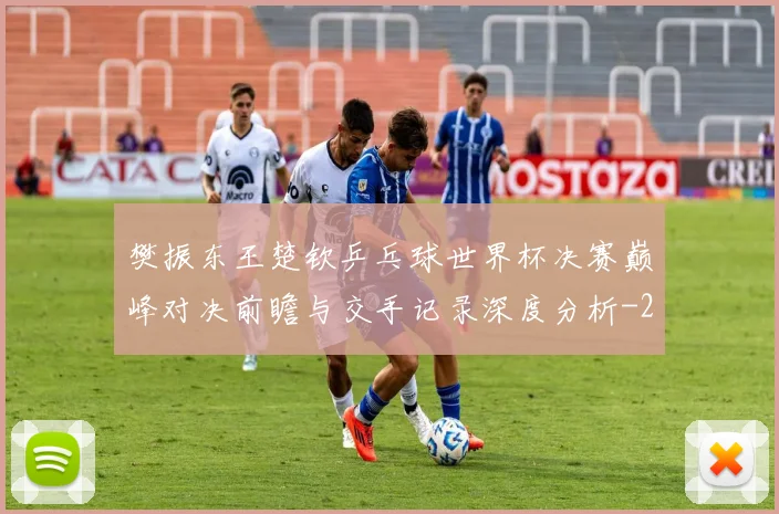樊振东王楚钦乒乓球世界杯决赛巅峰对决前瞻与交手记录深度分析