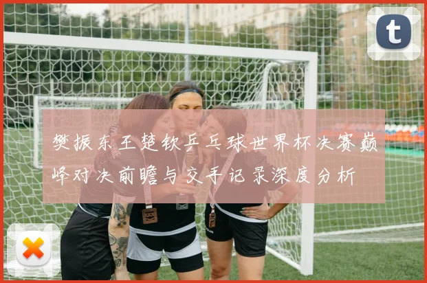 樊振东王楚钦乒乓球世界杯决赛巅峰对决前瞻与交手记录深度分析